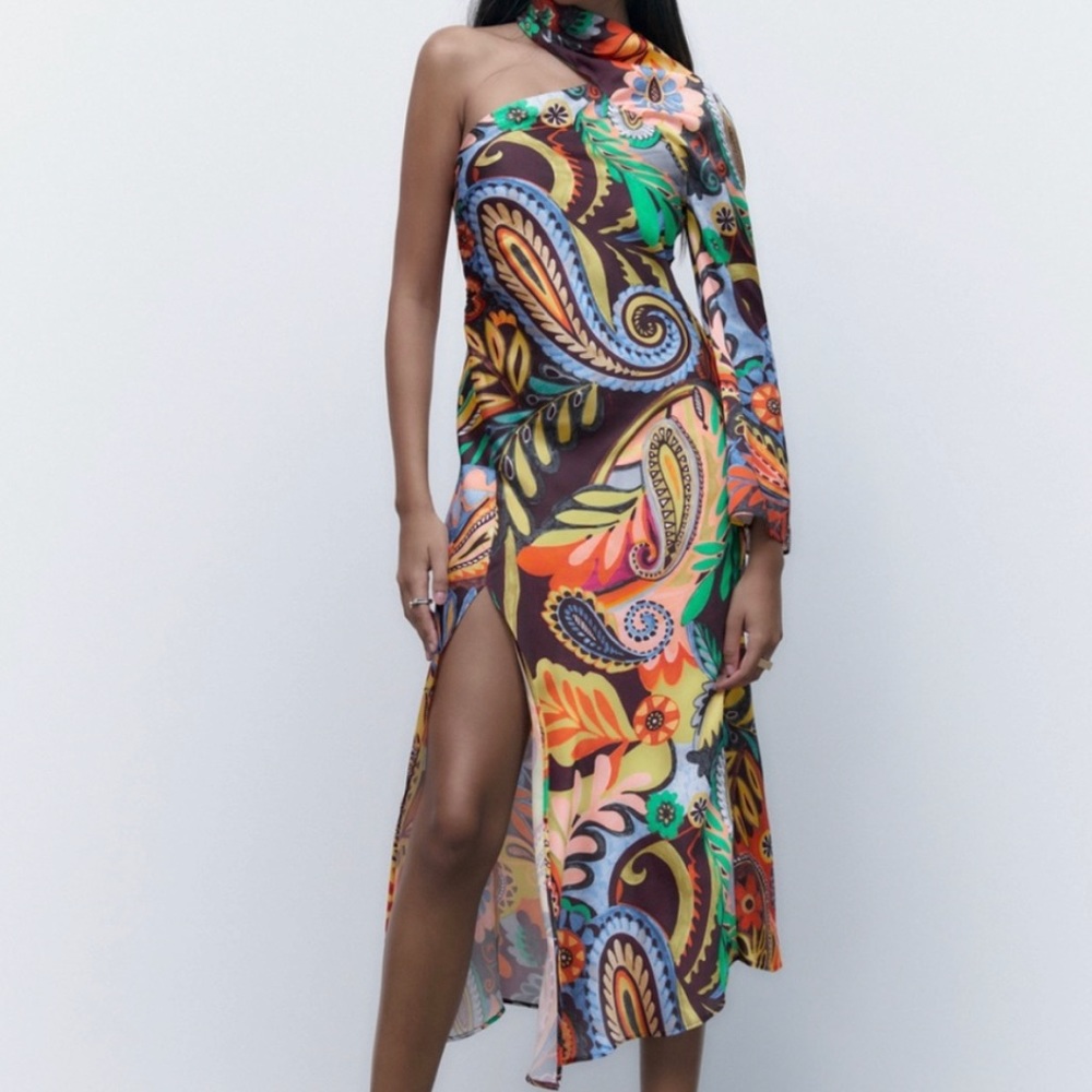 Zara Printed Dress